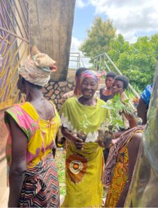 Reforestation Efforts in Ghana by CoDA