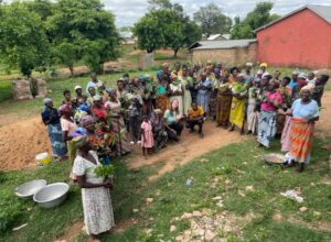 IMG-20240730-WA0063 Tree planting group in Kongo